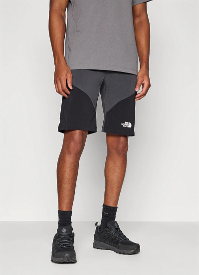 Шорты мужские The North Face Felik Slim Tapered Asphalt Grey/Tnf Black/Npf - Фото 3 большая