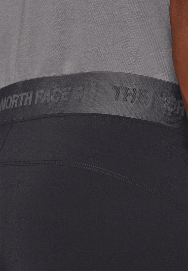 Шорты мужские The North Face Felik Slim Tapered Asphalt Grey/Tnf Black/Npf - Фото 6 большая