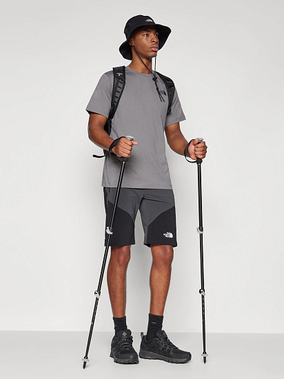 Шорты мужские The North Face Felik Slim Tapered Asphalt Grey/Tnf Black/Npf - Фото 7 большая