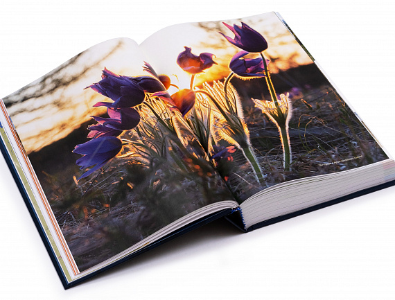 Книга "Уральская Экспедиция Чегодаева" - Фото 8 большая