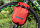 Сумка Ortlieb Fork-Pack Plus 4,1 Signal Red/Dark Chili - Фото 6 малая