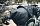 Сумка подседельная Topeak Backloader 6 л Black - Фото 3 малая