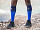 Гетры Compressport R2V2 Синий - Фото 3 малая