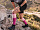 Гетры Compressport R2V2 Розовый - Фото 3 малая