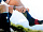 Гетры Compressport R2 Oxygen Blue - Фото 4 малая