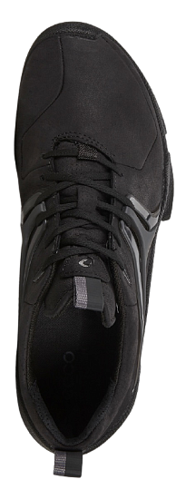Кроссовки мужские Ecco Biom C-Trail Black - Фото 6 большая