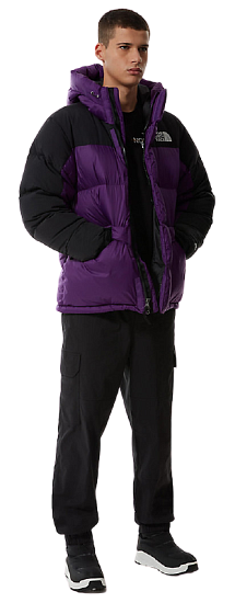 Ботинки мужские The North Face Nuptse II Bootie WP TNF Black/TNF White - Фото 9 большая