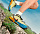 Кроссовки мужские Nike Air Zoom Terra Kiger 7 Limelight/Laser Blue/Dark Sulfur/Off Noir - Фото 3 малая