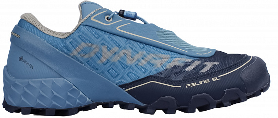 Кроссовки мужские Dynafit Feline Sl Gtx Blueberry Storm Blue - Фото 1 большая