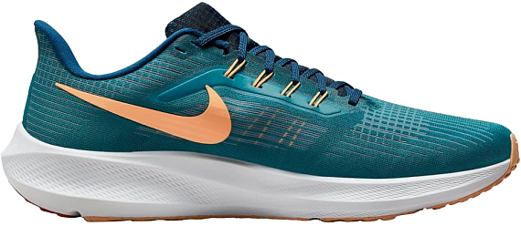 Кроссовки мужские Nike Air Zoom Pegasus 39 Bright Spruce/Lt Crimson-Valerian Blue - Фото 2 большая