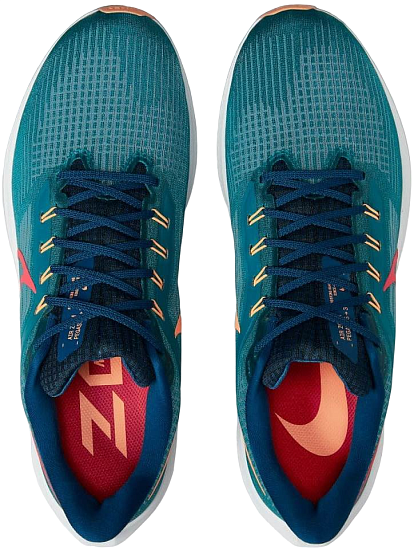 Кроссовки мужские Nike Air Zoom Pegasus 39 Bright Spruce/Lt Crimson-Valerian Blue - Фото 3 большая