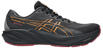 Кроссовки мужские ASICS Gt-2000 15 Gtx Graphite Grey/Black