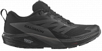 Кроссовки мужские Salomon Sense Ride 5 Gtx Black/Magnet/Black