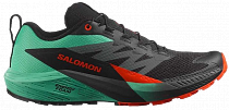 Кроссовки мужские Salomon Sense Ride 5 Black/Bay/Cherry Tomato