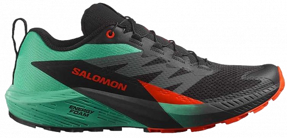 Кроссовки мужские Salomon Sense Ride 5 Black/Bay/Cherry Tomato - Фото 1 большая