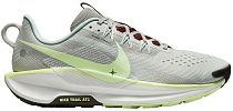 Кроссовки мужские Nike Reactx Pegasus Trail 5 Light Silver/Barely Volt/College Grey