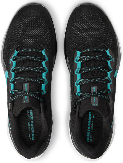 Кроссовки мужские Nike Air Zoom Pegasus 41 Black/Dusty Cactus/Cool Grey/White - Фото 5 большая