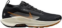 Кроссовки мужские Nike Pegasus Trail 5 Gtx Off Noir/Pale Ivory/Black/Monarch