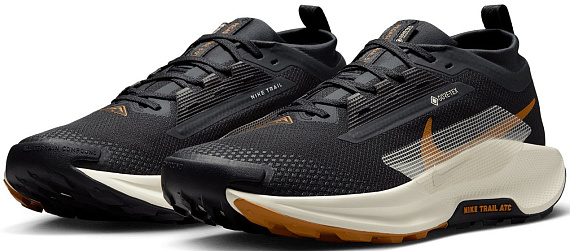 Кроссовки мужские Nike Pegasus Trail 5 Gtx Off Noir/Pale Ivory/Black/Monarch - Фото 2 большая