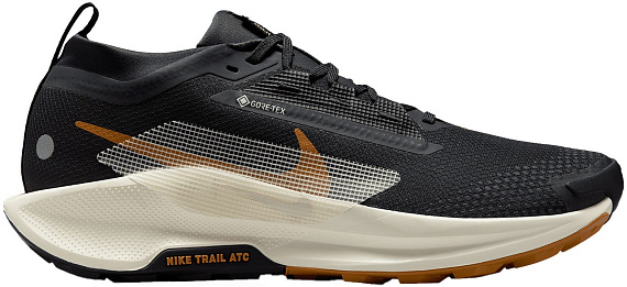 Кроссовки мужские Nike Pegasus Trail 5 Gtx Off Noir/Pale Ivory/Black/Monarch - Фото 1 большая
