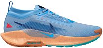 Кроссовки мужские Nike Pegasus Trail 5 Gtx Blue Beyond/Blue Void/Copper Moon