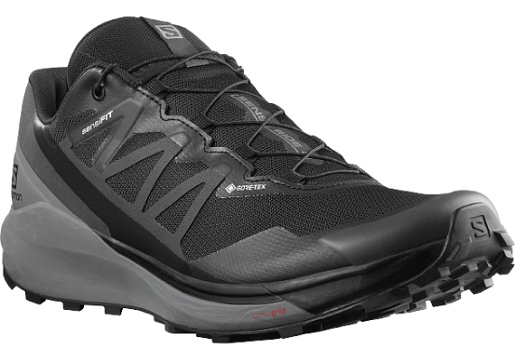 Кроссовки мужские Salomon Sense Ride 4 GTX Invisible Fit Black/Q - Фото 2 большая