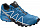 Кроссовки мужские Salomon Speedcross 4 Gtx Skdi/Indigo B - Фото 1 малая