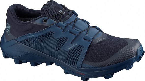 Кроссовки мужские Salomon Wildcross Gtx Navy Blazer/Dark - Фото 1 большая