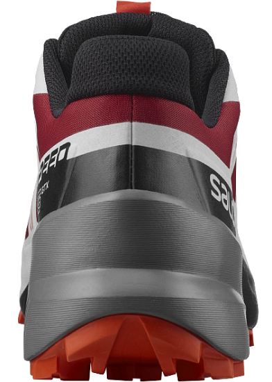 Кроссовки мужские Salomon Speedcross 5 GTX Chili/Pearl B - Фото 3 большая