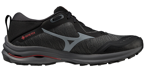 Кроссовки мужские Mizuno Wave Rider Gtx Irongate/Oystmush/Bsweet - Фото 2 большая