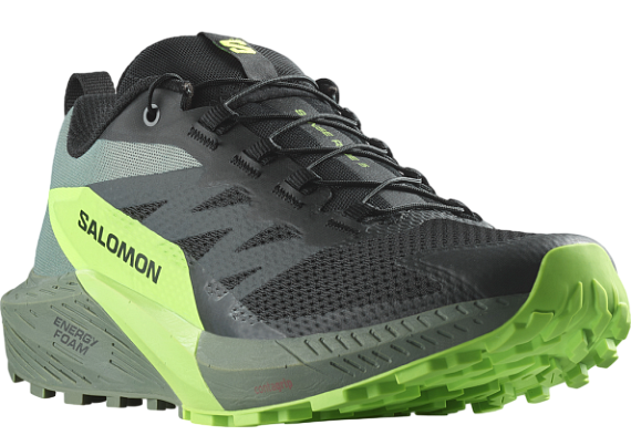 Кроссовки мужские Salomon Sense Ride 5 Black/Laurel Wreath/Green Gecko - Фото 3 большая