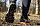 Кроссовки мужские Inov-8 X-Talon Ultra 260 V2 Black/Gold - Фото 9 малая