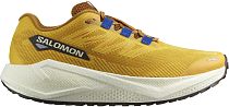 Кроссовки мужские Salomon Aero Blaze 3 Grvl Spicy Mustard/Vanilla Ice/Nautical Blue