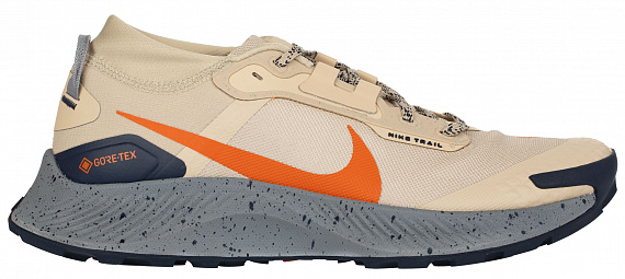 Кроссовки мужские Nike Pegasus Trail 3 GTX Multi - Фото 1 большая