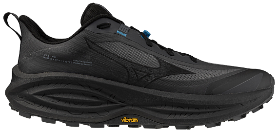 Кроссовки мужские Mizuno Neo Daichi 10 Gtx Black Oyster/Black/Blue Jewel - Фото 1 большая