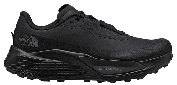 Кроссовки мужские The North Face Altamesa 500 V2 Gtx Tnf Black/Tnf Black - Фото 1 большая