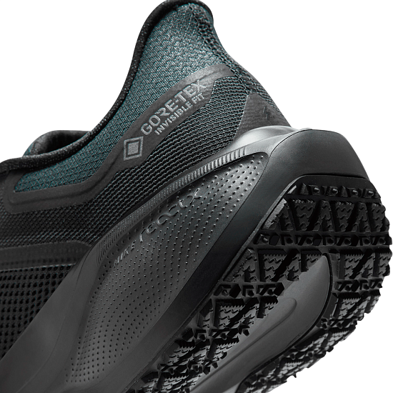 Кроссовки мужские Nike Air Zoom Pegasus 41 Gtx Black/Black/Anthracite - Фото 3 большая