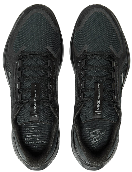Кроссовки мужские Nike Air Zoom Pegasus 41 Gtx Black/Black/Anthracite - Фото 5 большая