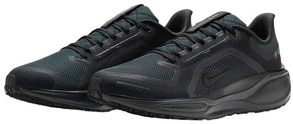Кроссовки мужские Nike Air Zoom Pegasus 41 Gtx Black/Black/Anthracite - Фото 6 большая