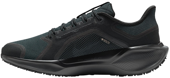 Кроссовки мужские Nike Air Zoom Pegasus 41 Gtx Black/Black/Anthracite - Фото 7 большая