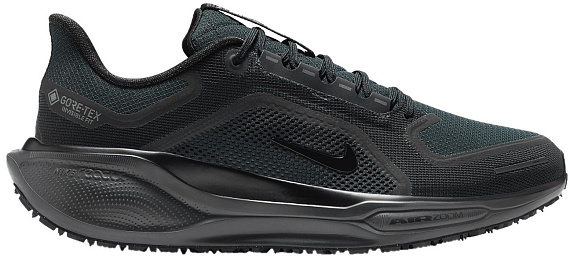Кроссовки мужские Nike Air Zoom Pegasus 41 Gtx Black/Black/Anthracite - Фото 1 большая