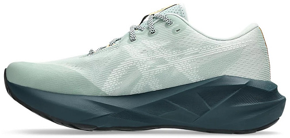 Кроссовки мужские ASICS Novablast 5 Tr Nature Bathing/Lichen Rock - Фото 4 большая