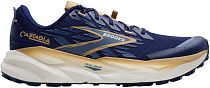 Кроссовки мужские Brooks Cascadia 19 Beacon Blue/Starfish/Coconut