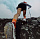 Кроссовки мужские Adidas Terrex Agravic AT Ftwwht/Cblack/Impora - Фото 10 малая