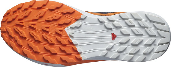 Кроссовки мужские Salomon Sense Ride 5 Gtx Indink/Carbon/Drf - Фото 5 большая