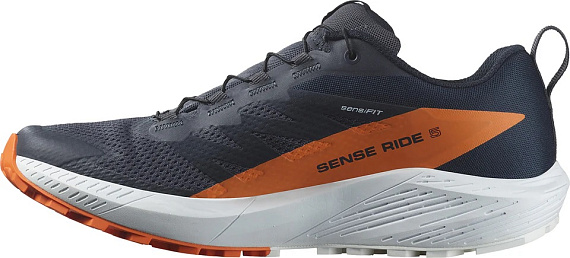 Кроссовки мужские Salomon Sense Ride 5 Gtx Indink/Carbon/Drf - Фото 6 большая