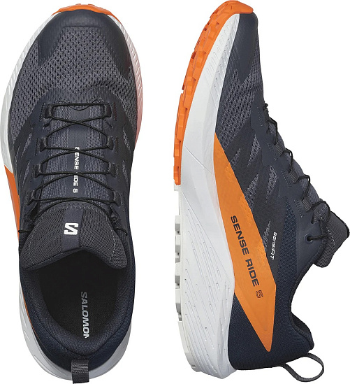 Кроссовки мужские Salomon Sense Ride 5 Gtx Indink/Carbon/Drf - Фото 7 большая