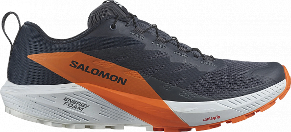 Кроссовки мужские Salomon Sense Ride 5 Gtx Indink/Carbon/Drf - Фото 1 большая