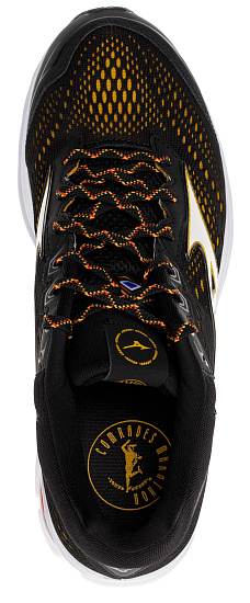 Кроссовки мужские Mizuno Wave Rider 22 Чер/Мульти - Фото 4 большая