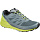 Кроссовки мужские Salomon Sense Pro Max Stormy Weather/Acid Lime/Black - Фото 1 малая